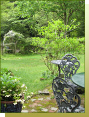 このサイトのついて 緑さんの庭風景
